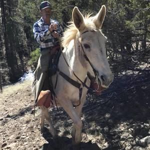 Meet your Posher, Andy